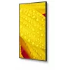 NEC MultiSync M651-2 Kioskdesign 165,1 cm (65 Zoll) LED 500 cd/m² 4K Ultra HD Schwarz Eingebauter Prozessor