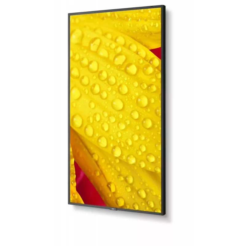 NEC MultiSync M651-2 Kioskdesign 165,1 cm (65 Zoll) LED 500 cd/m² 4K Ultra HD Schwarz Eingebauter Prozessor