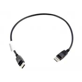 Lenovo 0,5 m DisplayPort Schwarz