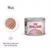 Royal Canin BABYCAT INSTINCTIVE - Nassfutter für Katzen - 195 g