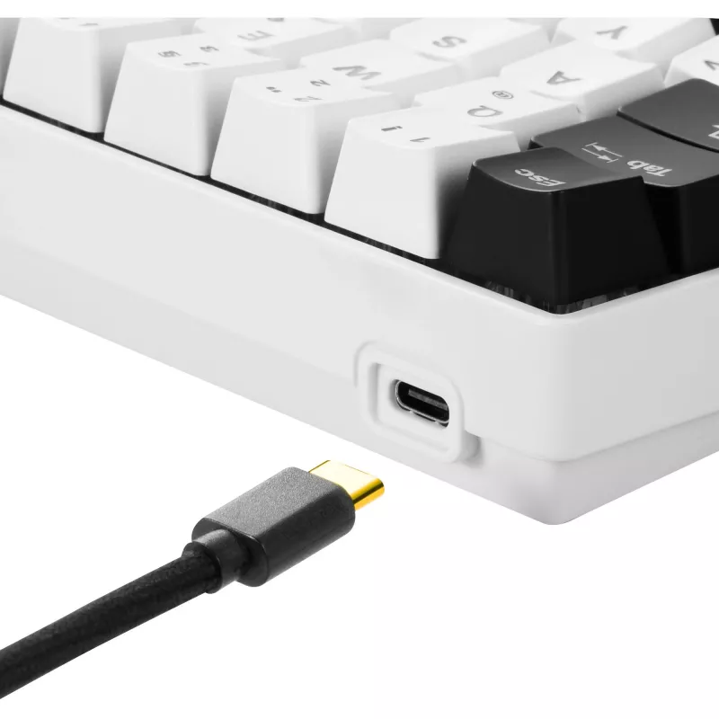 Sharkoon SKILLER SGK50 S4 - Tastatur - Hintergrundbeleuchtung