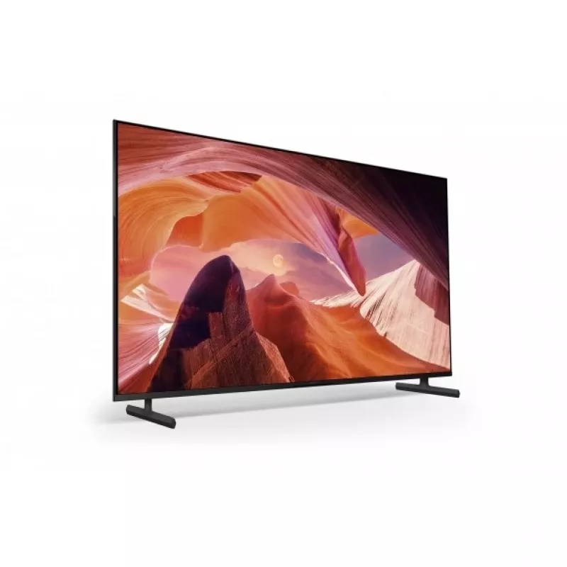 Sony FWD-65X80L TV 165.1 cm (65 Zoll) 4K Ultra HD Smart-TV Wi-Fi Schwarz
