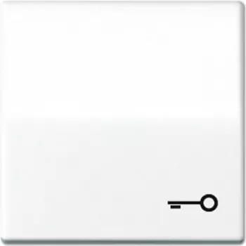 Wandmontiertes Drucktastenschalter-Modul JUNG AS 591 T WW Weiß für elektrische Steuerung
