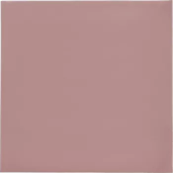 Thermal Grizzly Minus Pad 8 - 100 x 100 x 1,0 mm, 2 Stück