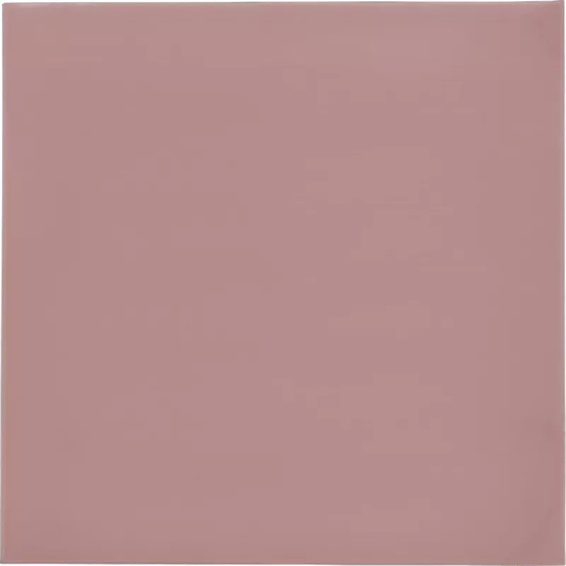 Thermal Grizzly Minus Pad 8 - 100 x 100 x 1,0 mm, 2 Stück