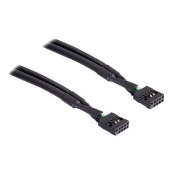 Internes USB-Kabel DeLOCK 82437 0,5 m 10-Pin Female