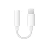 Apple Lightning auf 3,5 mm Klinkenadapter