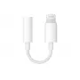 Apple Lightning auf 3,5 mm Klinkenadapter