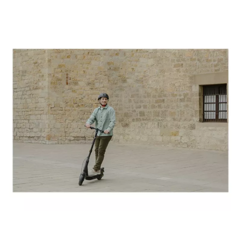 Ninebot by Segway KickScooter MAX G2 E Schwarz 25 km/h 15,3 Ah