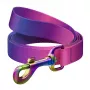 WAUDOG Gradient Nylon-Hundeleine, 20 mm breit, 122 cm lang, lila
