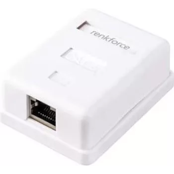 Renkforce Netzwerkadapter Aufputz CAT 6 1 Port Weiß (RF-4541182)