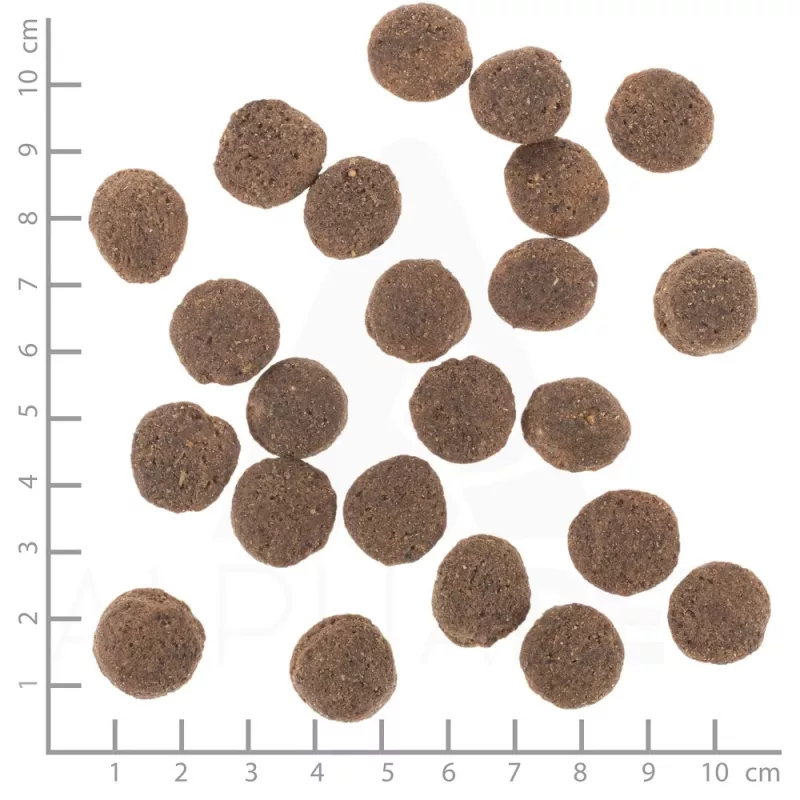 Trockenhundefutter Wolfsblut VetLine Hypoallergenic Horse — 12 kg, Monoprotein, 20 % Protein, getreide- und glutenfrei