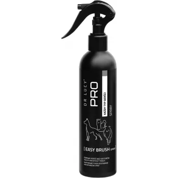 DR Lucy Easy Brush Spray Shampoo für leichteres Kämmen
