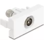 Socket-outlet IEC / F DeLOCK 90828 Weiß 75 Ω Gerade