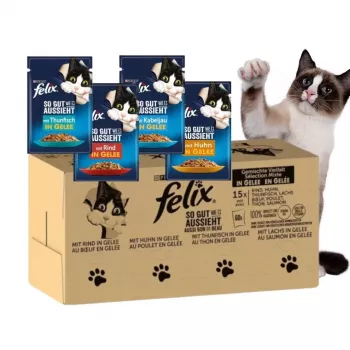Nassfutter für Katzen Purina Felix proteinreich 100 g Beutel — Geschmack Fisch & Huhn, ausgewachsene Katzen, Packung mit 120