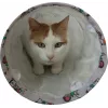 Katzentunnel ZOLUX CHATOUILLE 100 cm mit Katzen- und Mäusemuster — Haustierspielzeug