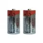 AgfaPhoto 110-802626 Alkali 1,5-V-Nichtwiederaufladbare Batterie (110802626)