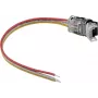 LED-Streifen-Stromverbinder EUROLITE 50530066, 3-polig, für 10 mm LED-Streifen