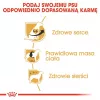 Trockenfutter für Hunde Royal Canin Cavalier King Charles Adult 1,5 kg — Huhn, kleine Rasse, Haut & Fell, Herzunterstützung