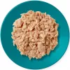 Nassfutter für Katzen Applaws Thunfischfilet mit Makrele in Gelee 70 g Beutel