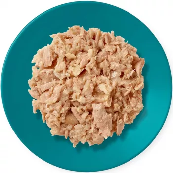 Nassfutter für Katzen Applaws Thunfischfilet mit Makrele in Gelee 70 g Beutel