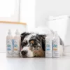Shampoo VETEXPERT Clinic Care Balance 250 ml – ausgewogene Hautpflege für Hunde und Katzen