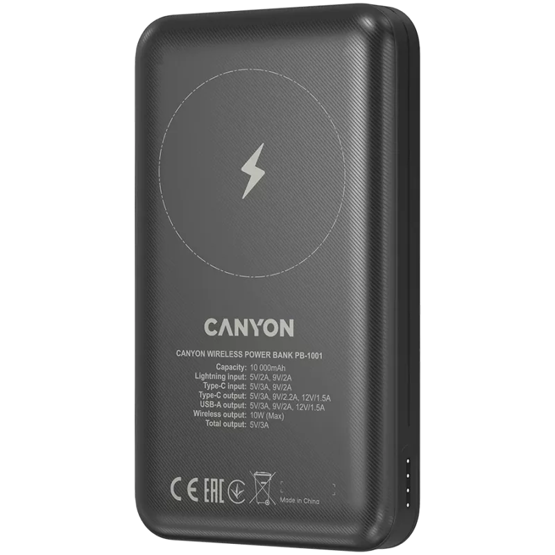 Tragbare Powerbank Canyon PB-1001 10000 mAh
