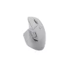 multi mode Maus white