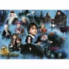 1000-Teile-Puzzle Ravensburger Harry Potters magische Welt – 1000 Teile, Standard-Puzzleformat