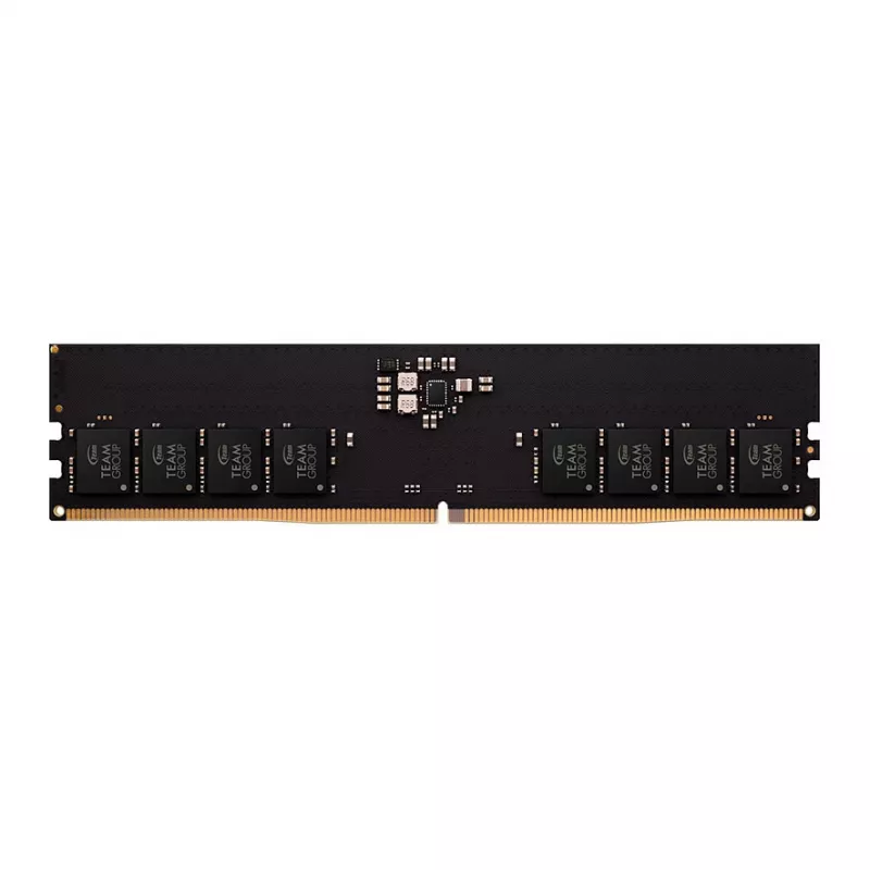 Team Group Team Elite - DDR5 - Modul - 32 GB - DIMM 288-PIN