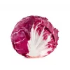 Lettuce Chicory Palla Rossa 3 Toraf Gemüsesamen, 5g-Packung