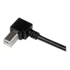 StarTech.com 3m USB 2.0 A auf rechtwinkliger B Kabel – M/M, 3 m, USB A, USB B, USB 2.0, Schwarz