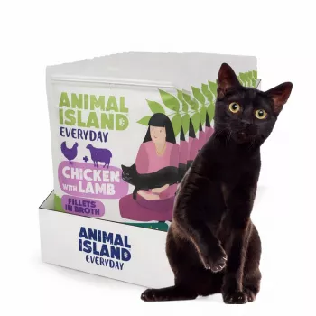 ANIMAL ISLAND Huhn mit Lammfilets in Brühe - Nassfutter für Katzen - 12x85g