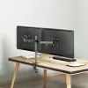 Dual-Monitor-Halterung 17-32 10kg pro Arm
