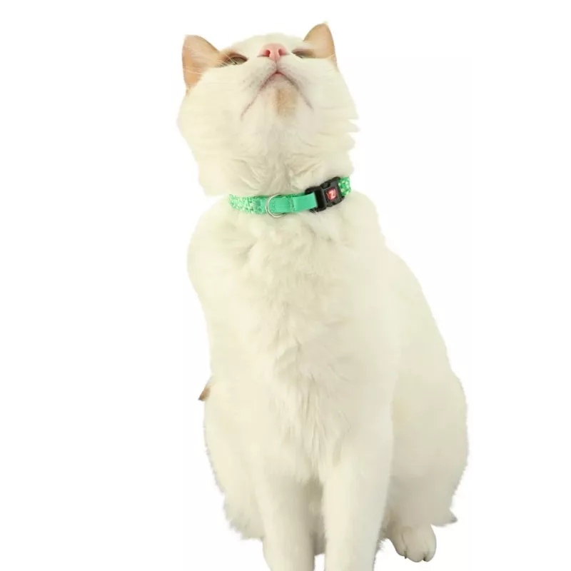 Katzenhalsband ZOLUX CHATOUILLE mit vogelförmigem Anhänger, grün