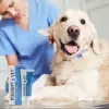 Wundgel JM Sante Polisept Vet 30 ml für Hunde und Katzen, Tube 30 ml, 50 g
