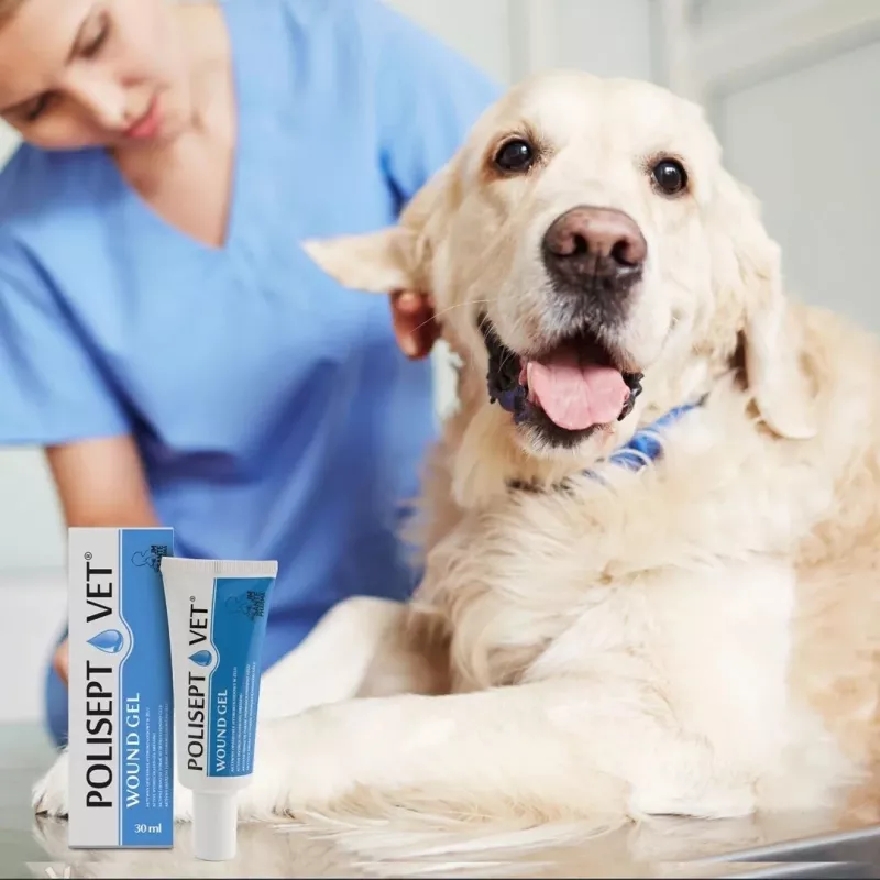 Wundgel JM Sante Polisept Vet 30 ml für Hunde und Katzen, Tube 30 ml, 50 g