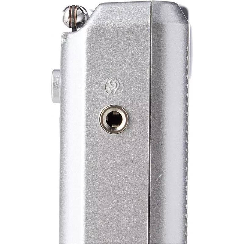 Panasonic RF-P150DEG Tragbares Analogradio Silber