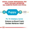 Royal Canin Golden Retriever Puppy Trockenfutter für Hunde, 12 kg