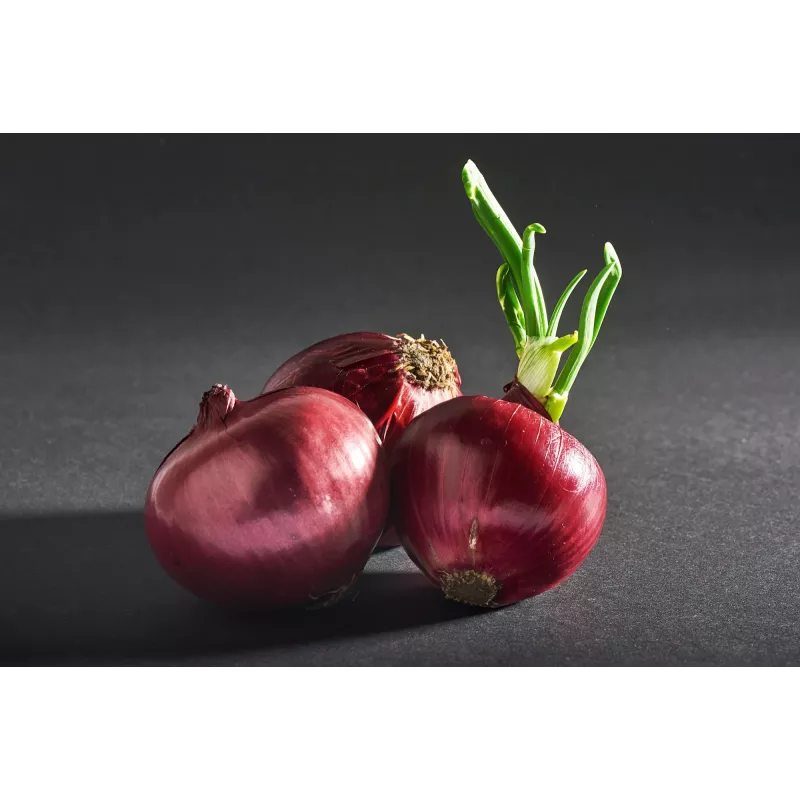 Onion Karmen Toraf Gemüsesamen, 3g-Packung