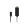 LANBERG CA-CMDP-10CU-0030-BK Videokabel-Adapter, 3 m, USB Type-C auf DisplayPort, 4K@60Hz/144Hz Unterstützung