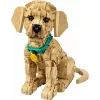 LEGO ICONS 11384 Golden Retriever Welpe