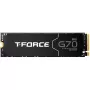 Team Group T-FORCE G70 Pro 2 TB PCIe 4.0 x4 | M.2 2280 | Graphen-Kühlkörper