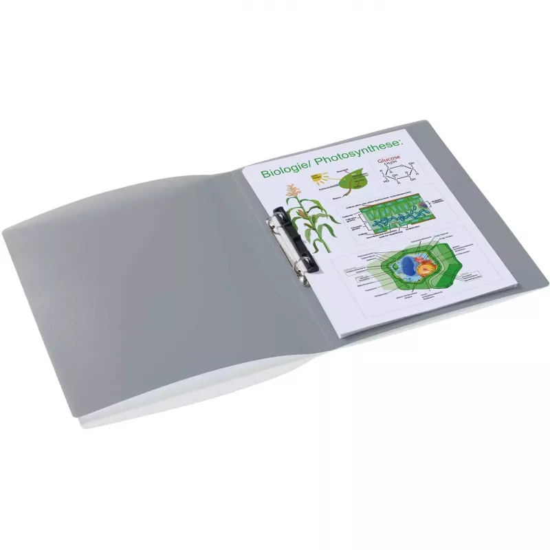 Ringbuch A4 HERMA 19184 Grau