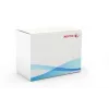 Xerox Transfer Roller, WorkCentre 7525/7530/7535/7545/7556, 1 Stk.