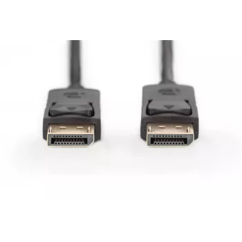 Anschlusskabel DisplayPort mit Verriegelung 1080p 60Hz FHD Typ DP / DP M / M schwarz 1m