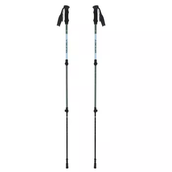 Erwachsene Trekkingstöcke VIKING Kivi 2.0 Trekking Grün UNI
