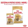 ROYAL CANIN Shih Tzu Adult Nassfutter für Hunde Pastete 12x85 g