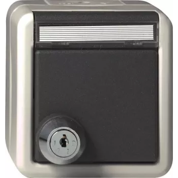 gira Schuko-Steckdose mit Schloss, Modell 456730 (KD) – abschließbar, Unterputz-kompatibel, grau