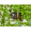 Gardena 13312-20 Produkt 2 L Schwarz